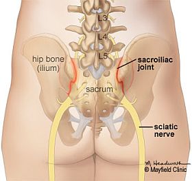 Coluna vertebral cervical ou pescoço 8
